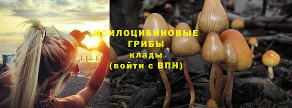 кокс Нея