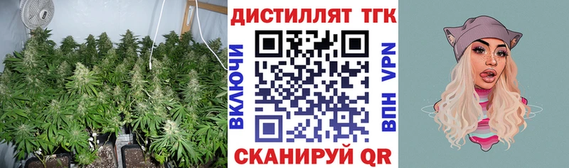 Дистиллят ТГК концентрат  купить наркотик  Кондрово 