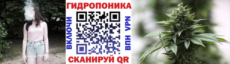 Бошки марихуана MAZAR  где купить наркоту  Кондрово 